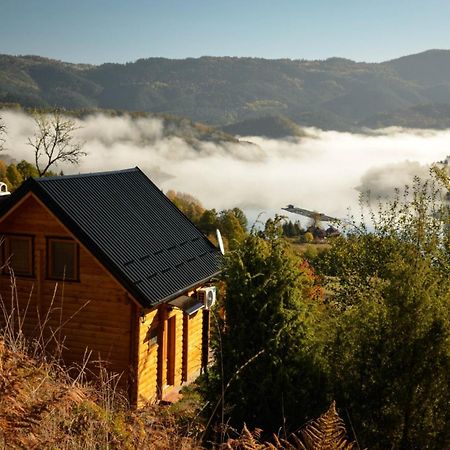 Vila Bella, Tara, Zaovinsko Jezero Villa Zaovine Exterior foto