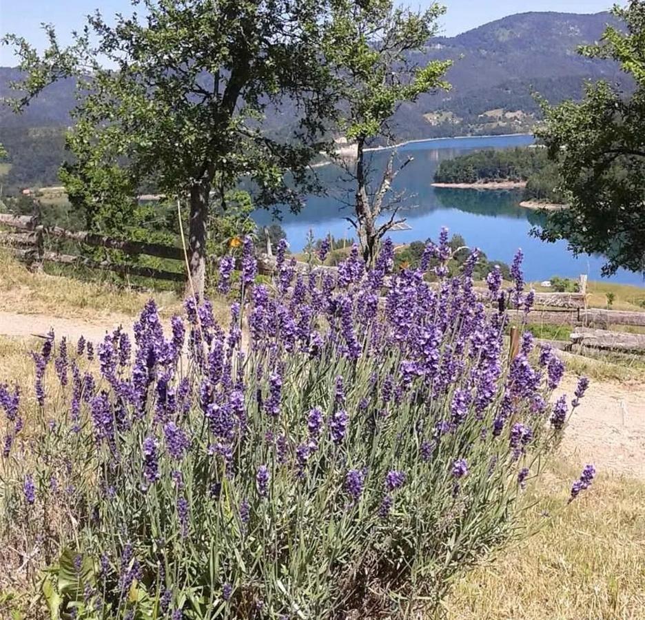 Vila Bella, Tara, Zaovinsko Jezero Villa Zaovine Exterior foto