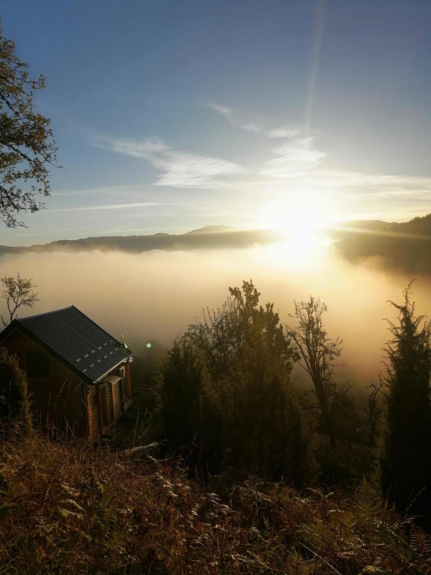 Vila Bella, Tara, Zaovinsko Jezero Villa Zaovine Exterior foto